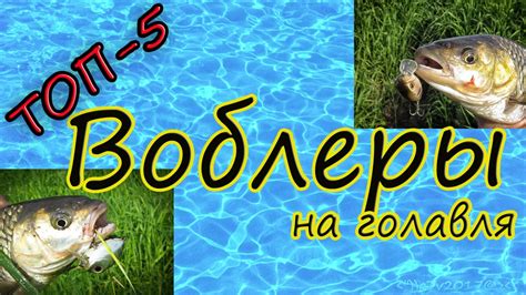 Воблеры на голавля .Топ 5 . р Днепр . - YouTube