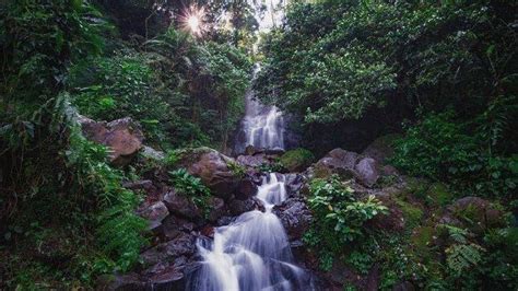 Harga Tiket Masuk Curug Cilember 2021 Bisa Camping Hingga Banyak