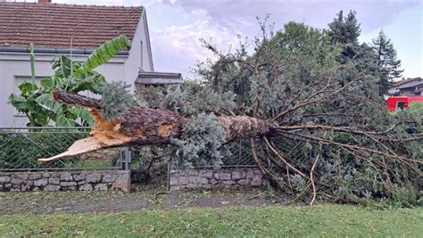 Šteta od olujnog nevremena za područje grada Virovitice procijenjena na