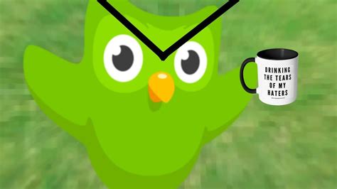 Duolingo Bird Is Not Happy Youtube