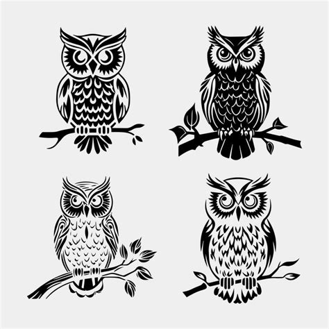 Set Of Royal Owl Vector Design Isolated On White 23289243 Vector Art At