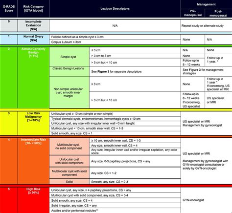 O-RADS Ultrasound Calculator - ACR Guidelines - RadioGyan