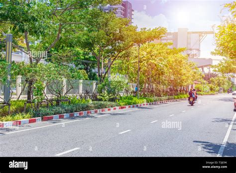 clean new road with tree green city concept Stock Photo - Alamy