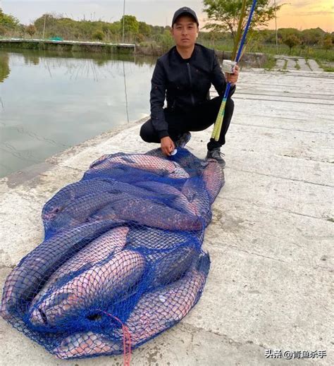 掌握青魚新魚特點，分析魚情合理選擇正確釣法，才是釣獲它的關鍵 每日頭條