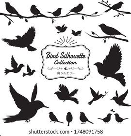 Set Season Bird Twig Silhouettes Vector Stock Vector Royalty Free