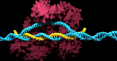 Crisprcas9 A Revolution In Genetic Engineering Next Gen Scientists