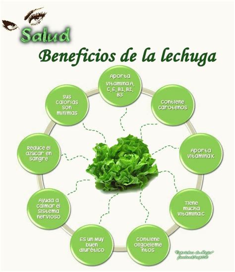 Beneficios De La Lechuga Health Cooking Healthy Juices Herbs