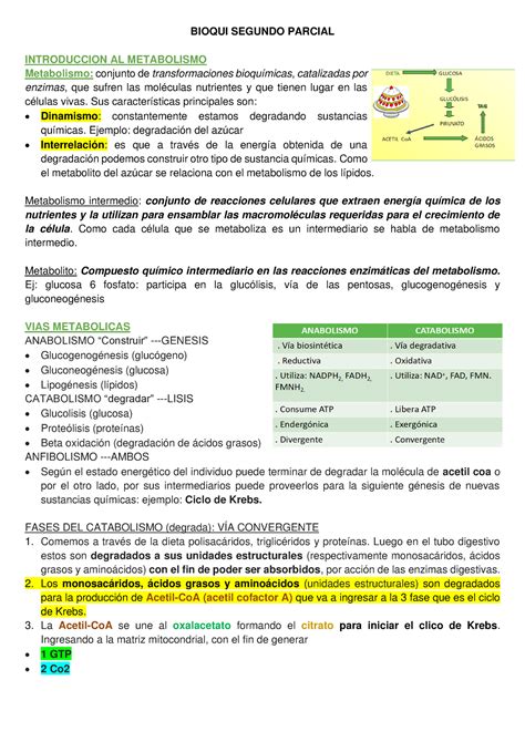 2 Parcial DE Bioquimica BIOQUI SEGUNDO PARCIAL INTRODUCCION AL