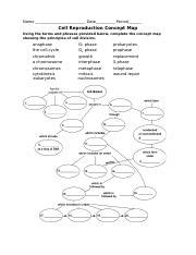 Cell Reproduction High School Biology Worksheets Vocabulary Sets