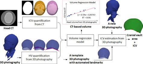 Schematic Of The Proposed Framework Icv Intracranial Volume Hv Head