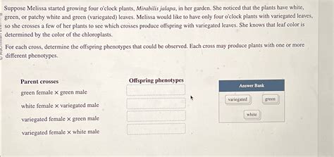 Solved Suppose Melissa Started Growing Four O Clock Plants Chegg