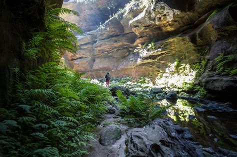 Grand Canyon Track Blue Mountains Nsw We Are Explorers