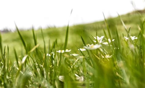 Wettertrend Zwischen Fr Hsommer Und Graupelschauer Launisches