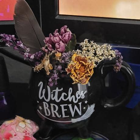 Amazon.com: Dont Let the Forest In eBook : Drews, CG: Kindle Store