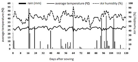 Precipitation Values Mm Mean Temperature C And Relative Air