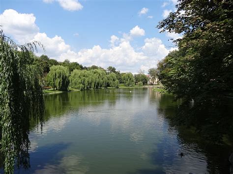 Staw W Parku Miejskim Kielce Subiektywna Fotografia Obiektywna