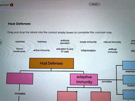 Solved Ced Iccinesl Host Defenses Drag And Drop The Labels Into The