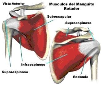 Dr Jaime Michel Sindrome De Pinzamiento Hombro