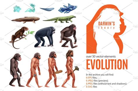 Theory Of Evolution