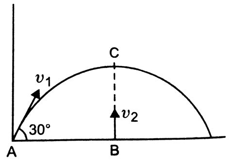 A Body Si Projected With Velocity V1 A At The Same Time Another