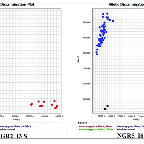 Indel Caps And Dcaps Markers For 14 Nue Genes The 20 Accessions