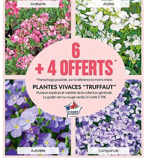 Promo Plantes Vivaces Truffaut Chez Truffaut ICatalogue Fr