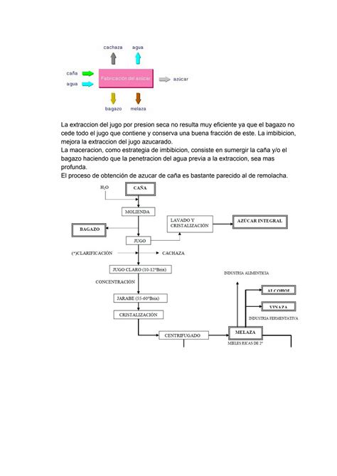 Solution Resumen Preguntas Examen De Bromatologia Studypool