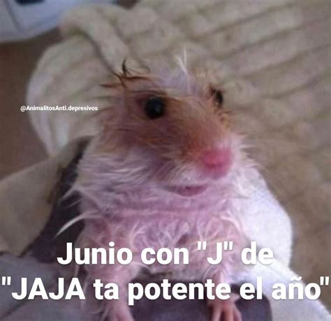 Junio Con J De Jaja Ta Potente El A O Memes