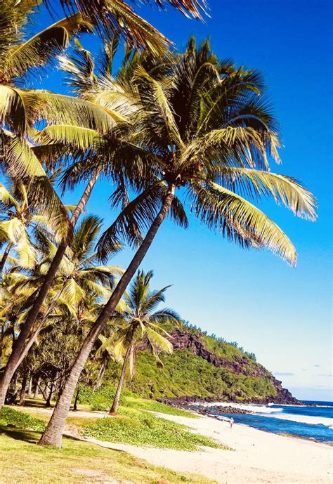 5 of the most spectacular beaches on the west coast of reunion island ...