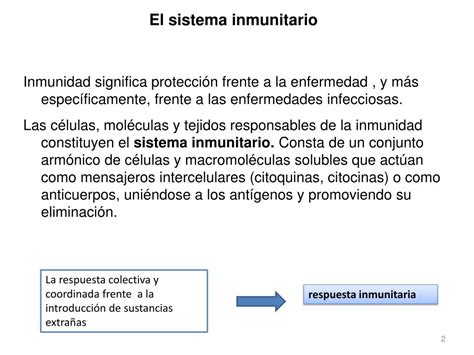 Ppt InmunologÍa Y Enfermedad Powerpoint Presentation Free Download