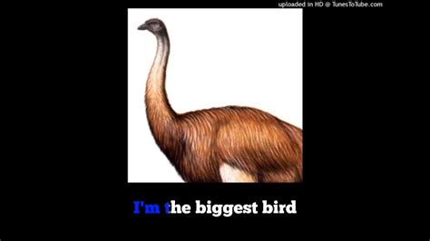 Im The Biggest Bird Karaoke Youtube