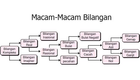 Macam Macam Bilangan Bulat Dan Contohnya Riset