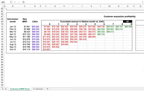 SaaS Cohort Analysis Model Excel Template - Eloquens