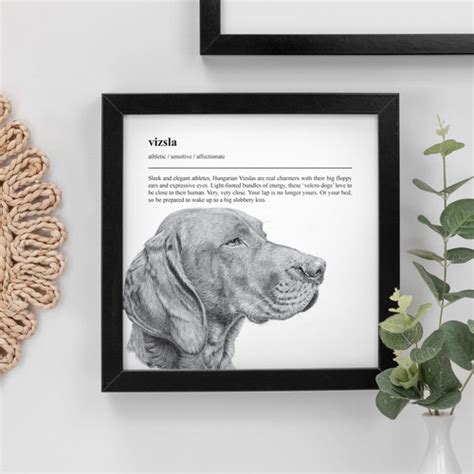 Vizsla Square Dog Breed Print | Coulson Macleod