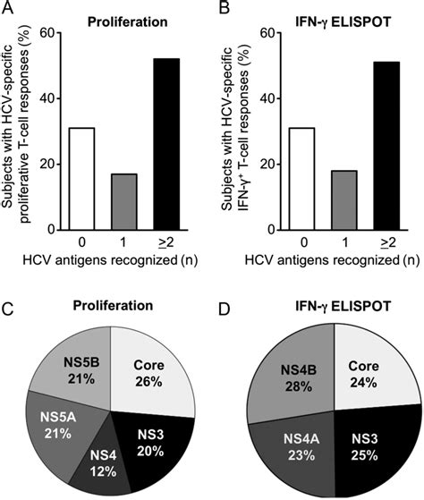 Breadth And Specificity Of The Hepatitis C Virus Hcv Specific T Cell