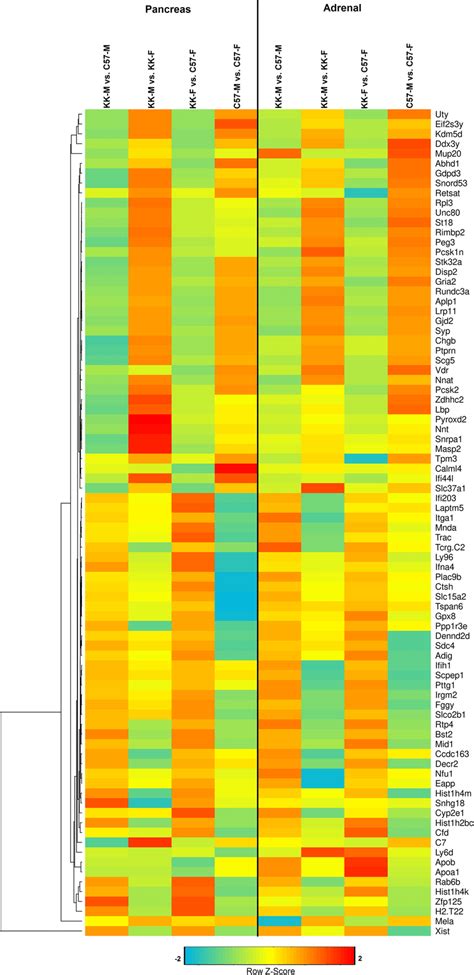 Heatmap With Hierarchical Clustering Of Differentially Expressed Genes Download Scientific