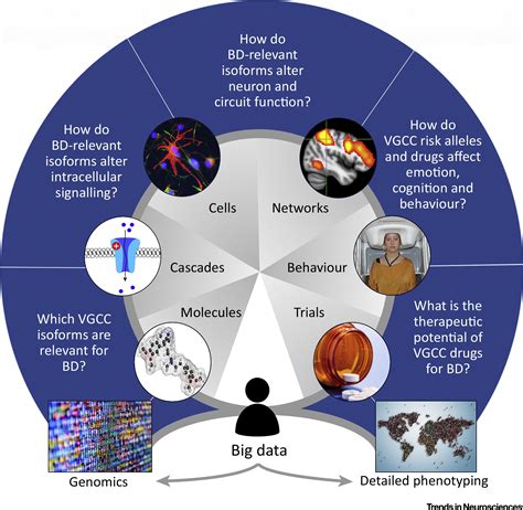 The Emerging Neurobiology Of Bipolar Disorder Trends In Neurosciences