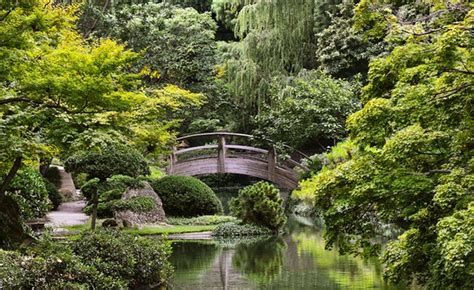 Botanic Garden - Fort Worth - Shop Across Texas