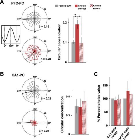 Theta Phase Locking Of Mpfc Spike Timing To The Ca1 Theta Rhythm Was Download Scientific