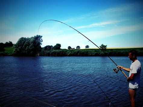 Free Images : sea, lake, carp, angling, outdoor recreation ...
