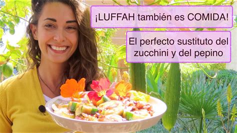 La Luffa Es Comestible Luffah Looffah Esponja Vegetal Aprenda A