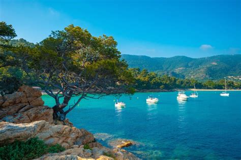 Le Lavandou Cosa Fare Cosa Vedere E Dove Dormire Franciaturismo Net