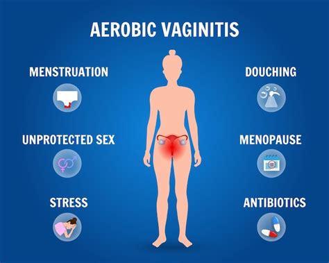 Premium Vector Infographic Of Aerobic Vaginitis In Vector Illustration