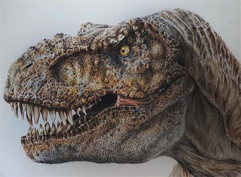 Realistic T Rex Drawing