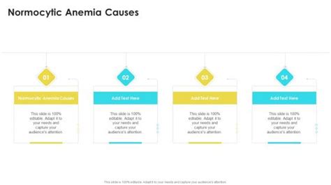 Normocytic Anemia Causes Powerpoint Presentation And Slides Slideteam