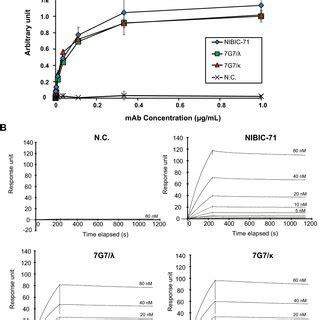 Binding Affinity Of NIBIC 71 And 7G7 To The S Protein A The Ability