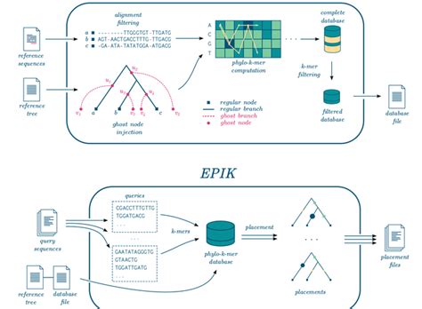 EPIK: Precise and scalable evolutionary placement with informative k-mers | Eric Rivals' group