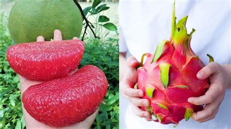 Tropical Fruits Top 35 Delicious Tropical Fruits You