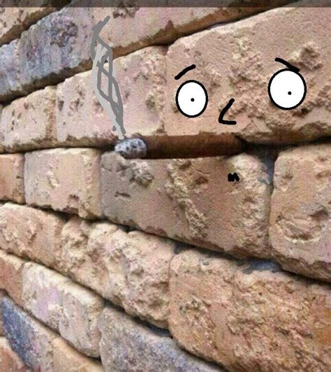 Was siehst du auf diesem Bild?