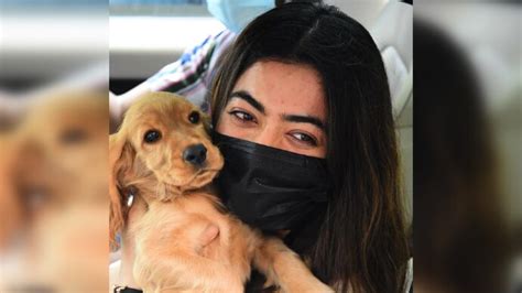 Rashmika Mandannas Pet Dog Aura Loves Using Her Hair As Chew Toy